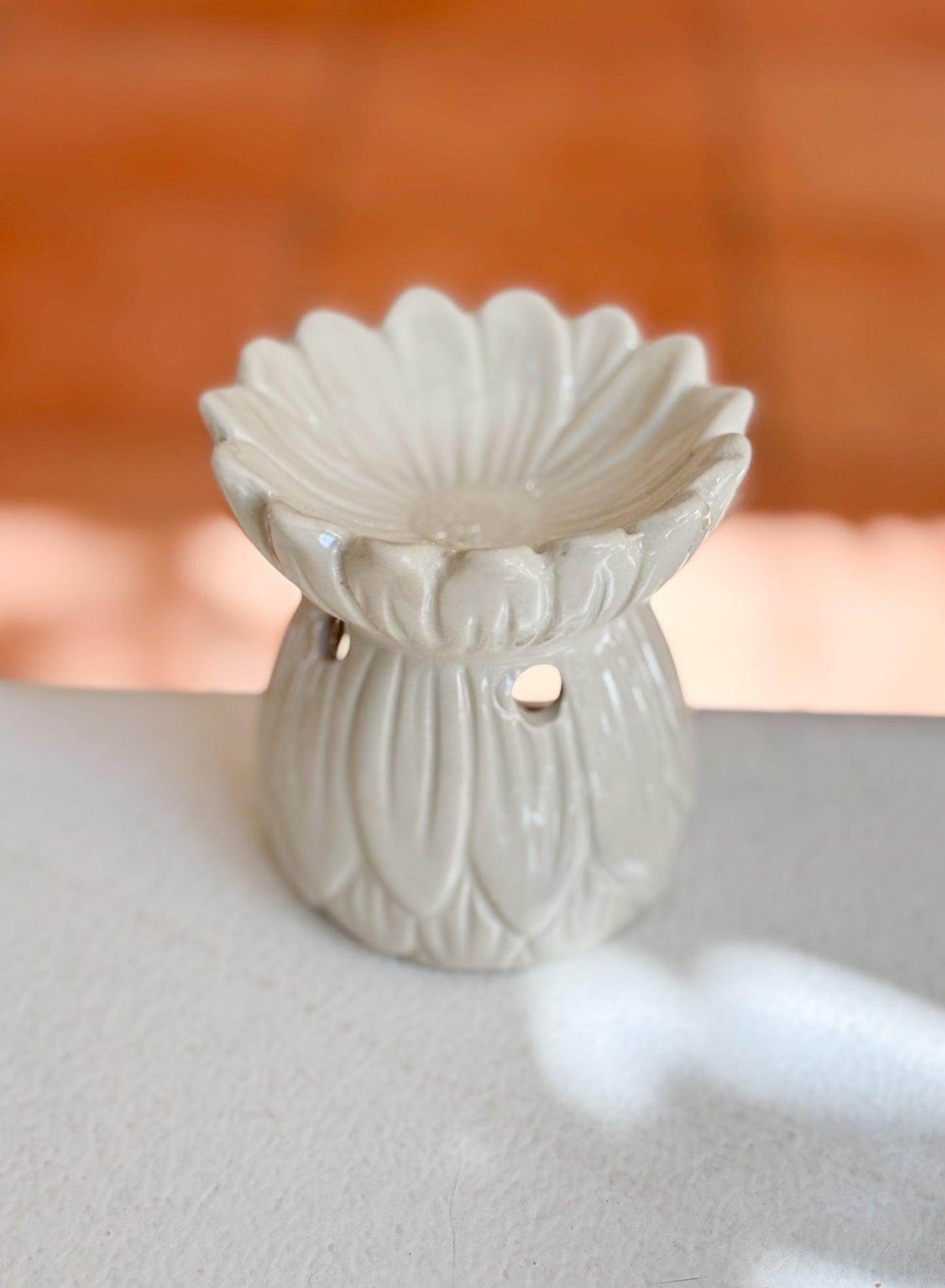 Quemador de Wax Melts