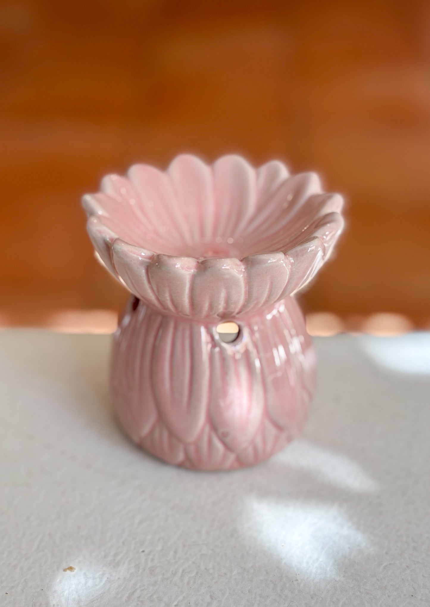 Quemador de Wax Melts